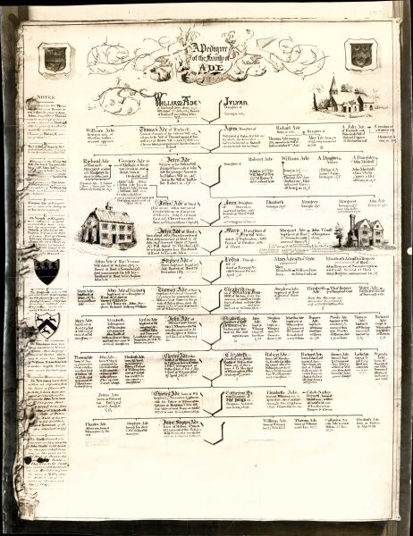 Pedigree of the family of Ade